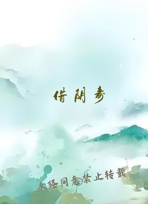 借阴寿 小说